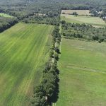Farmland