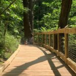 New Boardwalk at Garden in the Woods