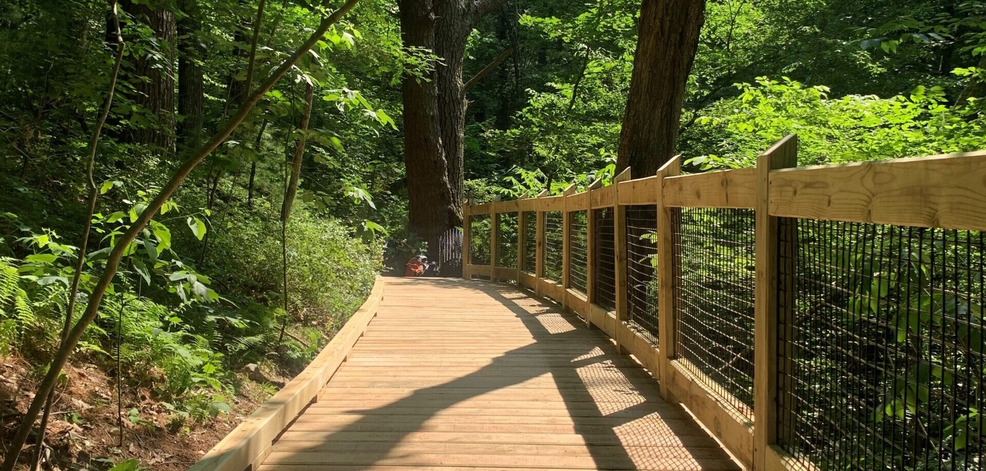 New Boardwalk at Garden in the Woods