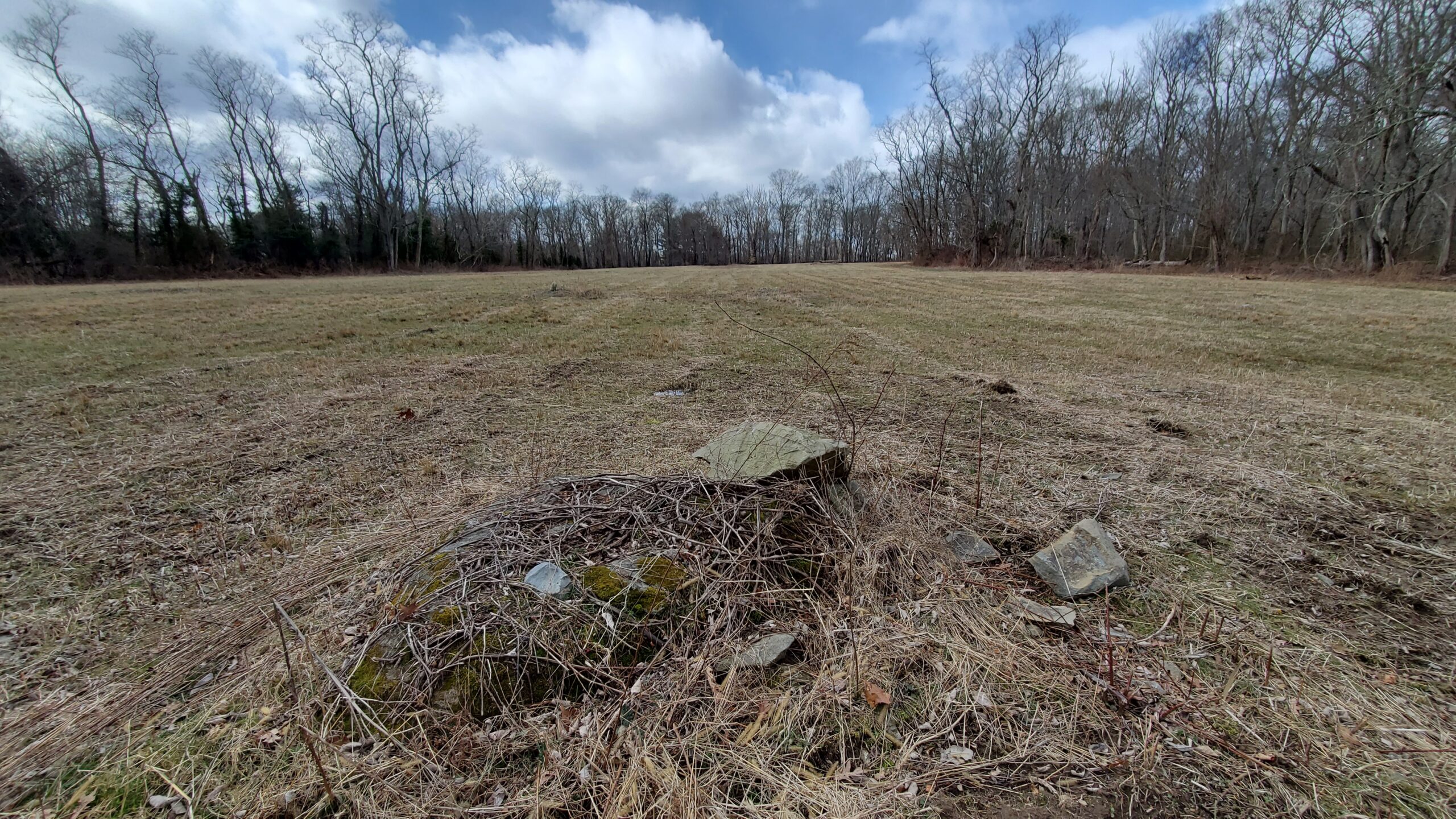 The Medeiros Family Farm, site of a future CR