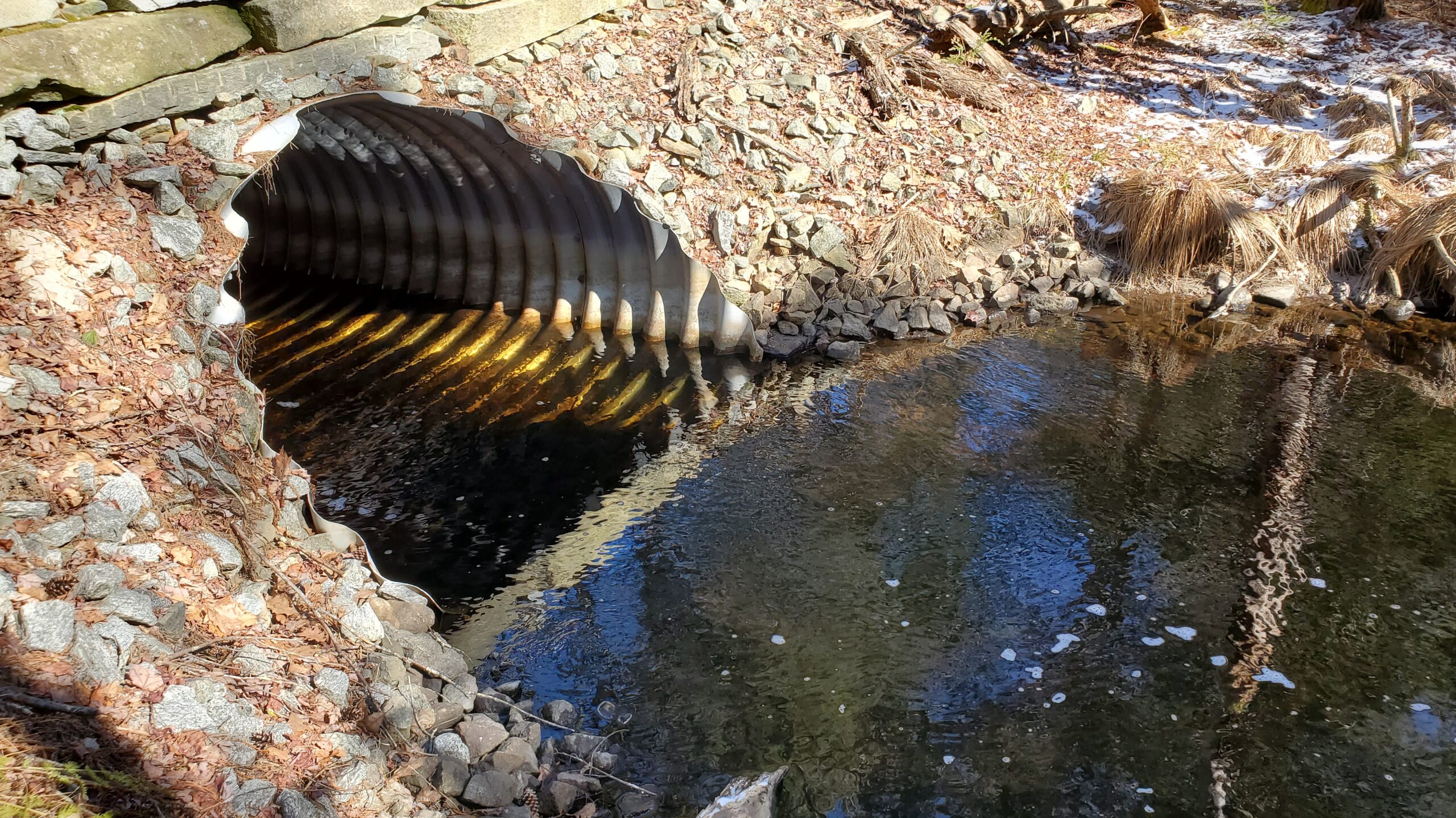 One of many stream culverts in Petersham