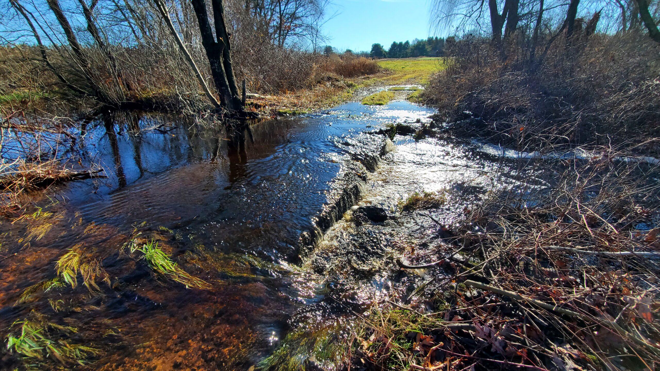 Rocky Run on The R.D.Wray property, Rehoboth